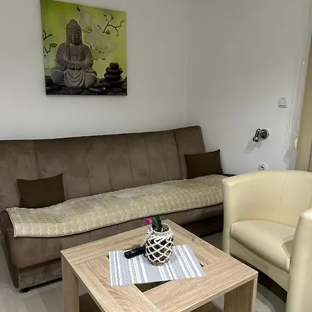 San -u Centru Daire Soko Banja