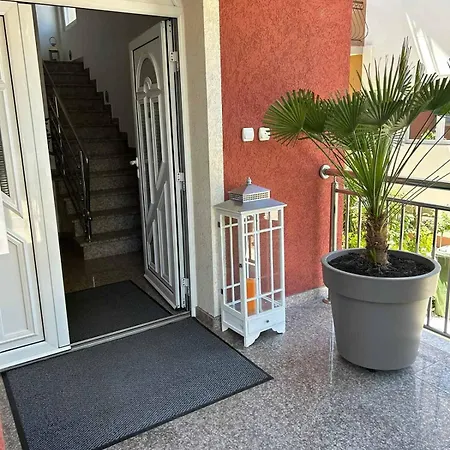 San -u Centru * Soko Banja