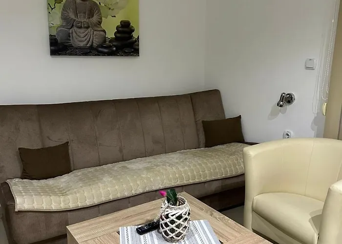 San -u Centru アパート ソコバニャ