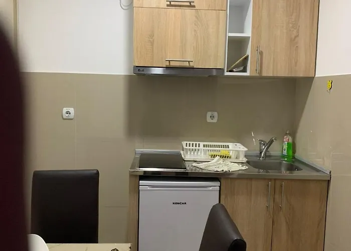 アパート San -u Centru ソコバニャ