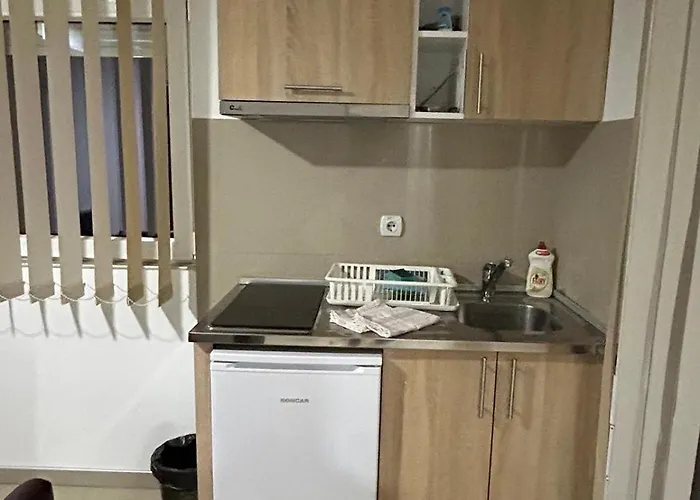 San -u Centru アパート ソコバニャ