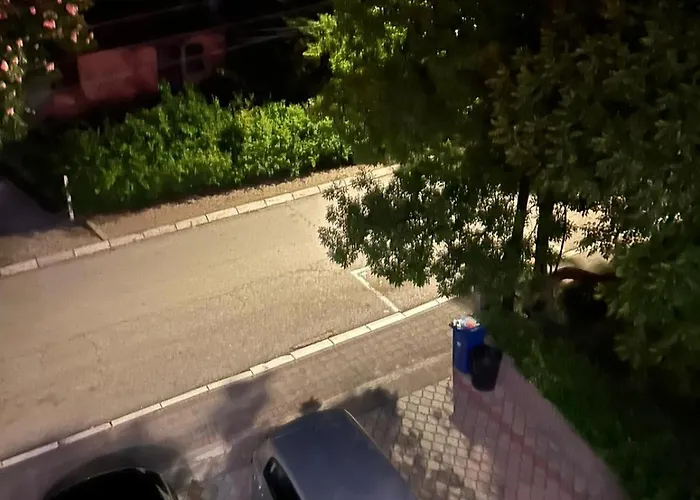 アパート San -u Centru ソコバニャ