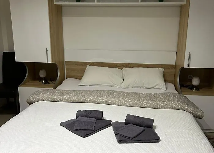 San -u Centru アパート ソコバニャ